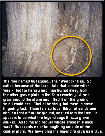 Warlock Tree
